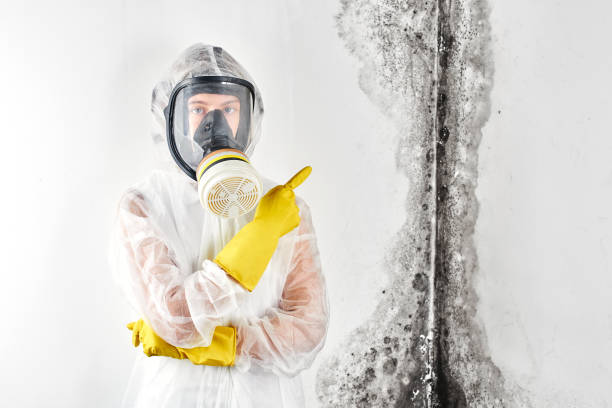 Best Residential Mold Inspection & Testing in Midwest City, OK