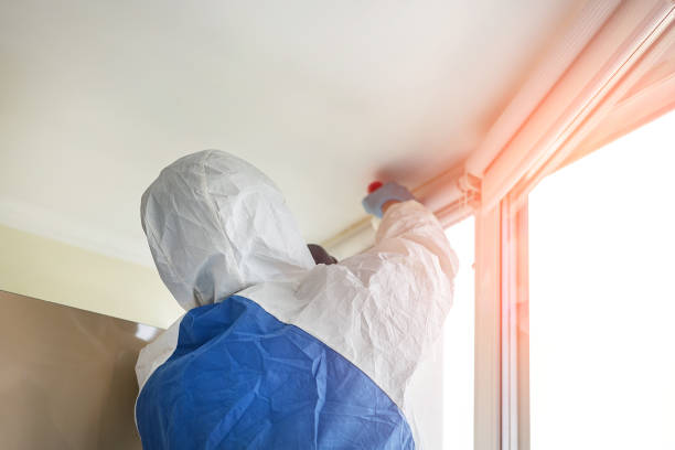 Why You Should Choose Our Mold Remediation Services in Midwest City, OK